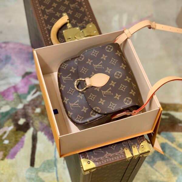 Louis Vuitton Vintage Saint Cloud Handbags -M51245-19 × 6 × 17CM